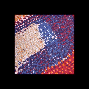 Confezione Sciarpa/Accessorio Vogue multicolor